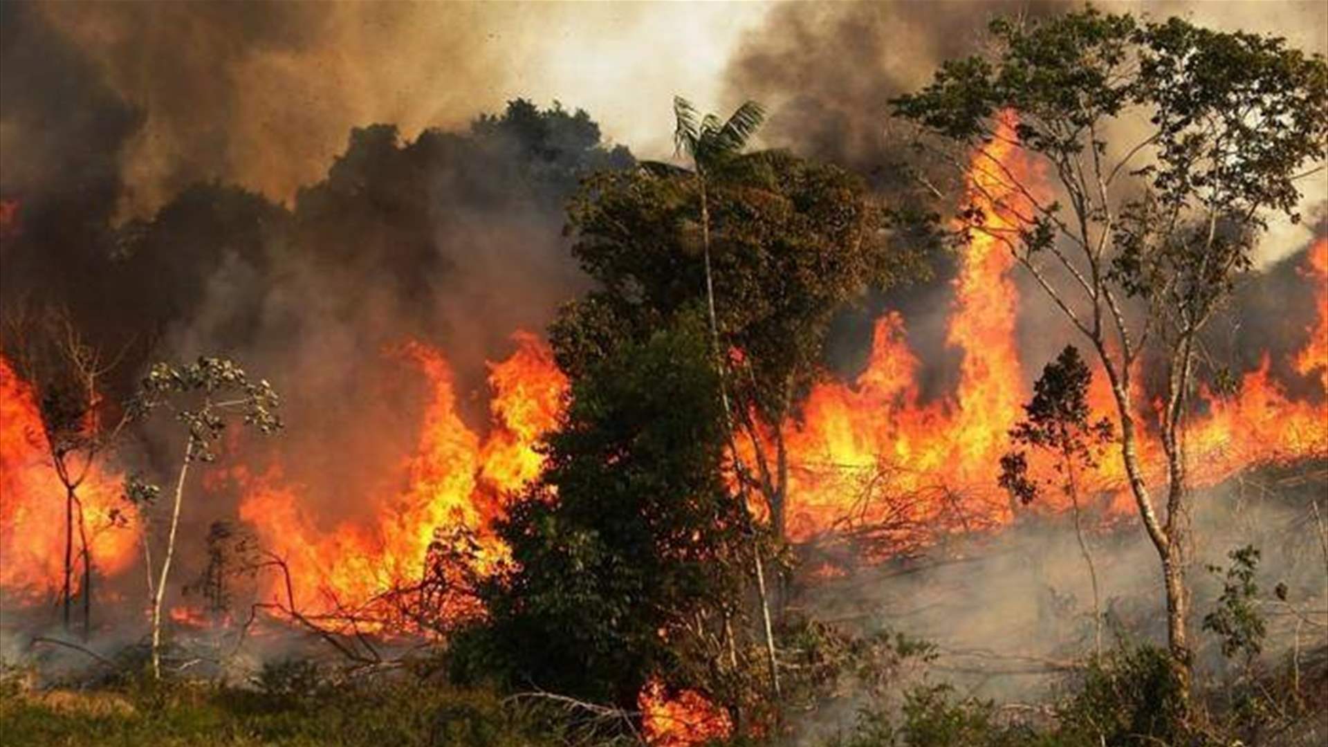 وزير البيئة نبّه من خطر الحرائق السريعة