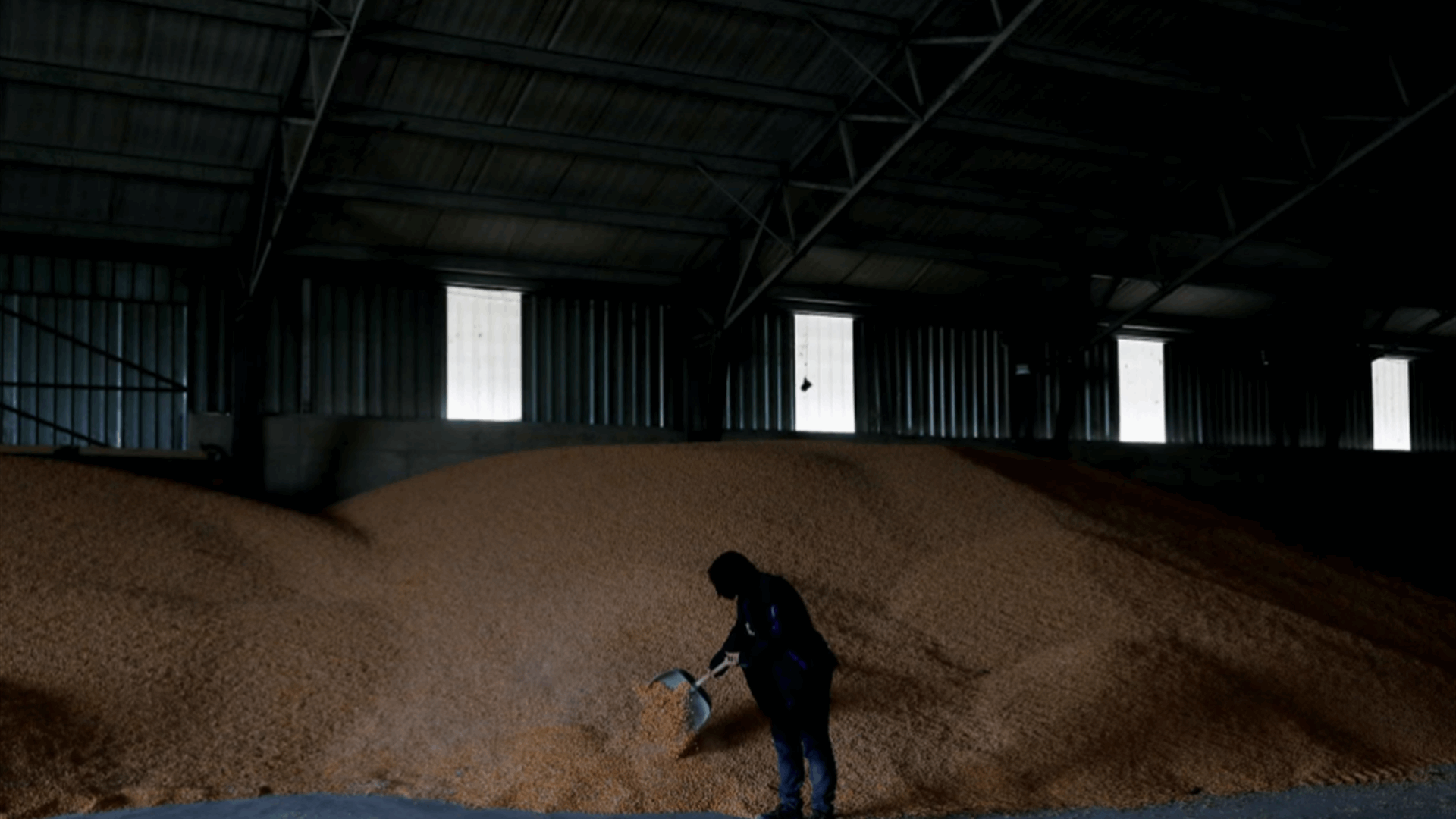 Why eastern Europe's grain producers face a perfect storm
