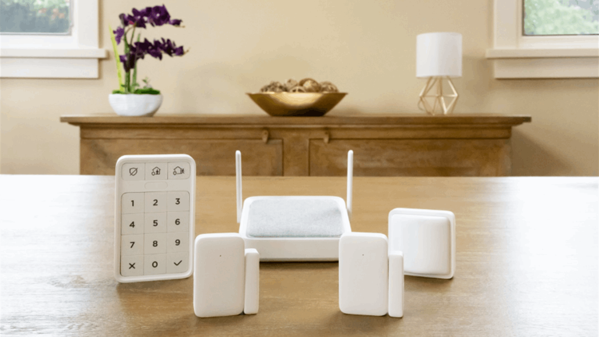 Roku expands smart home lineup with new home monitoring system for $99