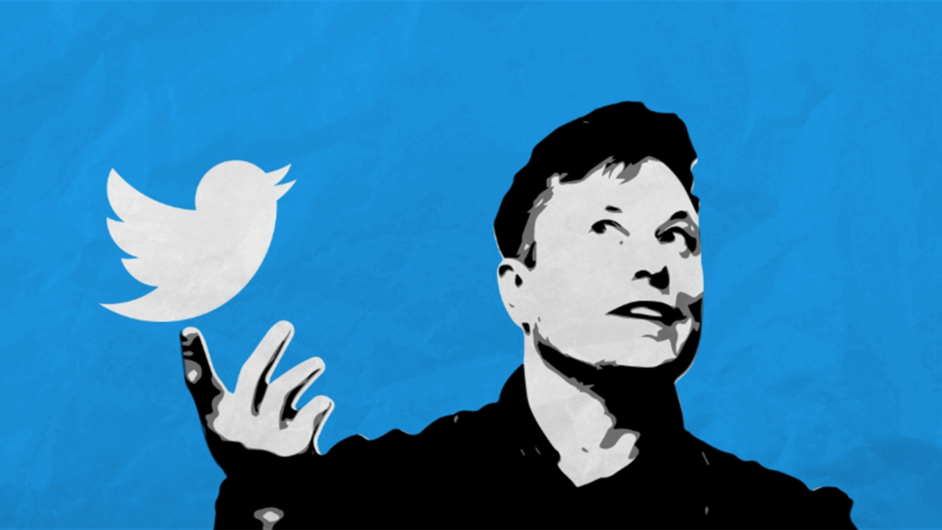 Elon Musk says he has found a new CEO for Twitter