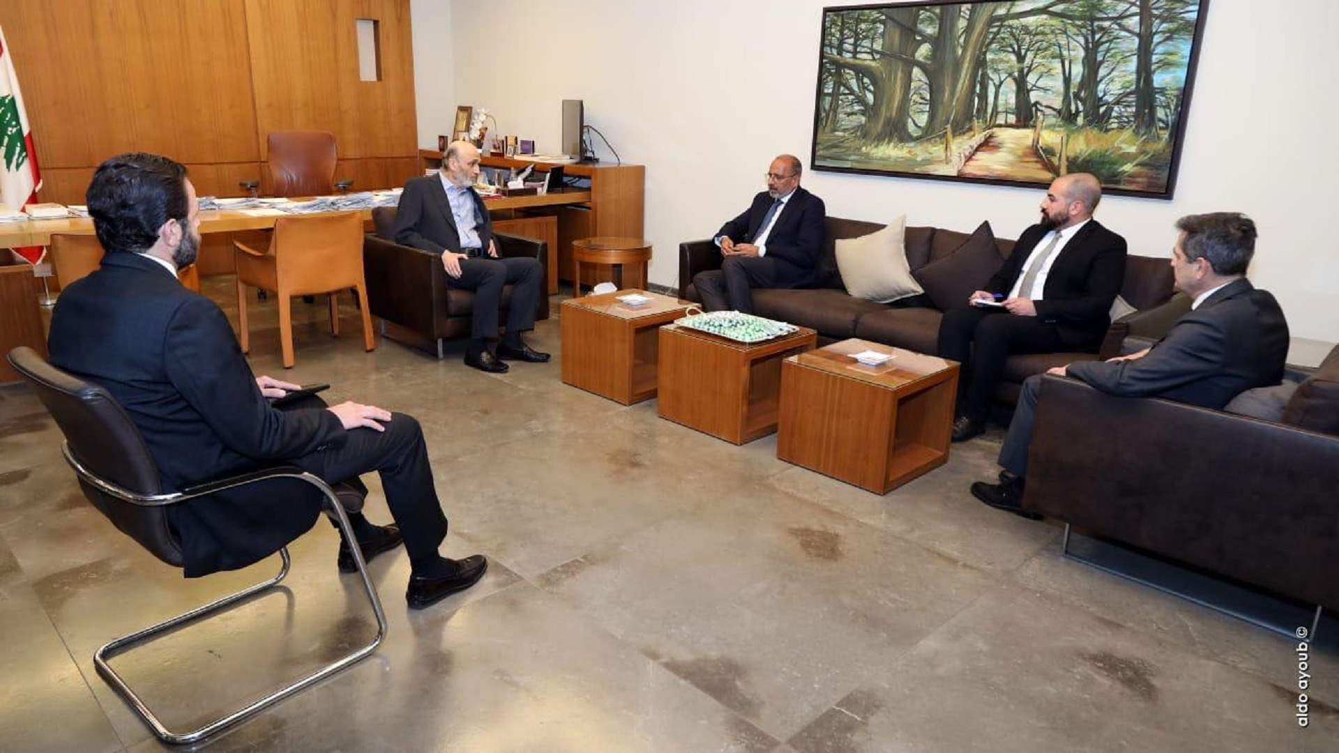 جعجع التقى المنسق المقيم للأمم المتحدة في لبنان: علينا العمل سويا للإنتقال من تنظيم بقاء النازحين الى تنظيم عودتهم