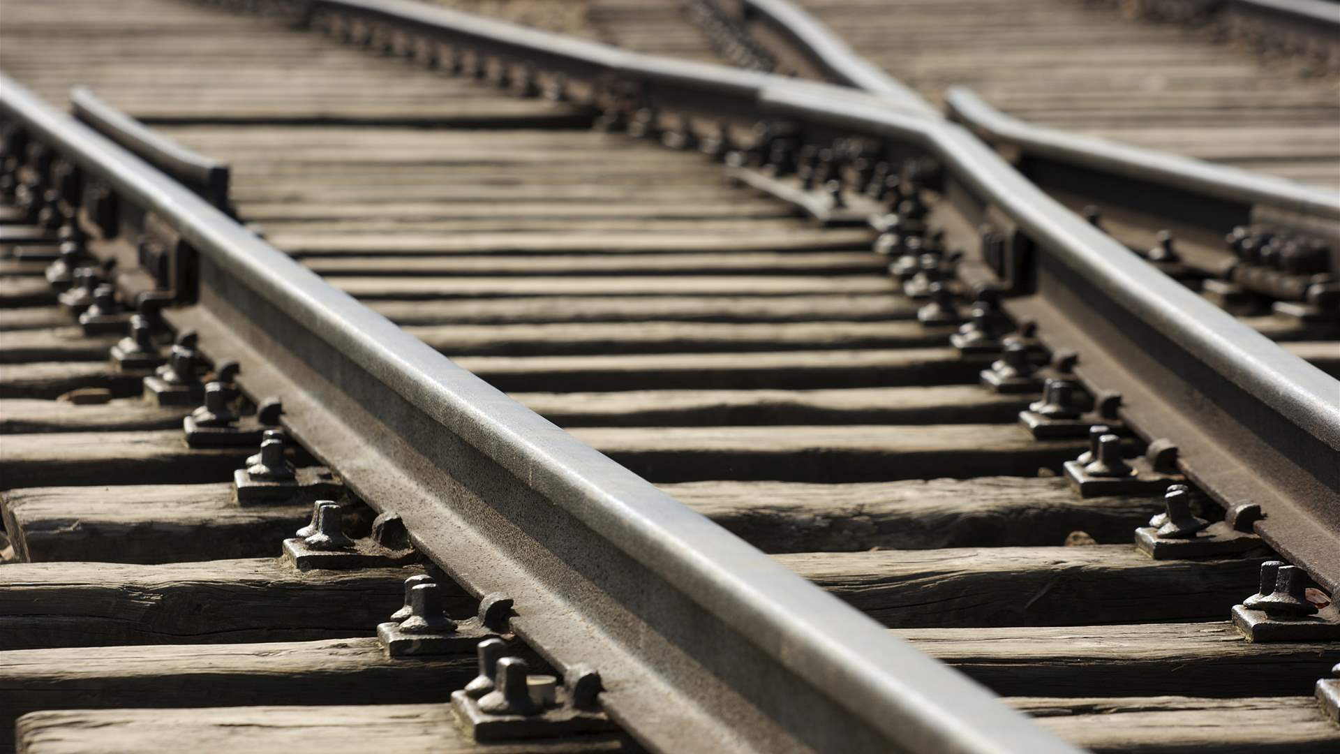 In pursuit of growth: Saudi Arabia, US, UAE, and India consider groundbreaking railway project