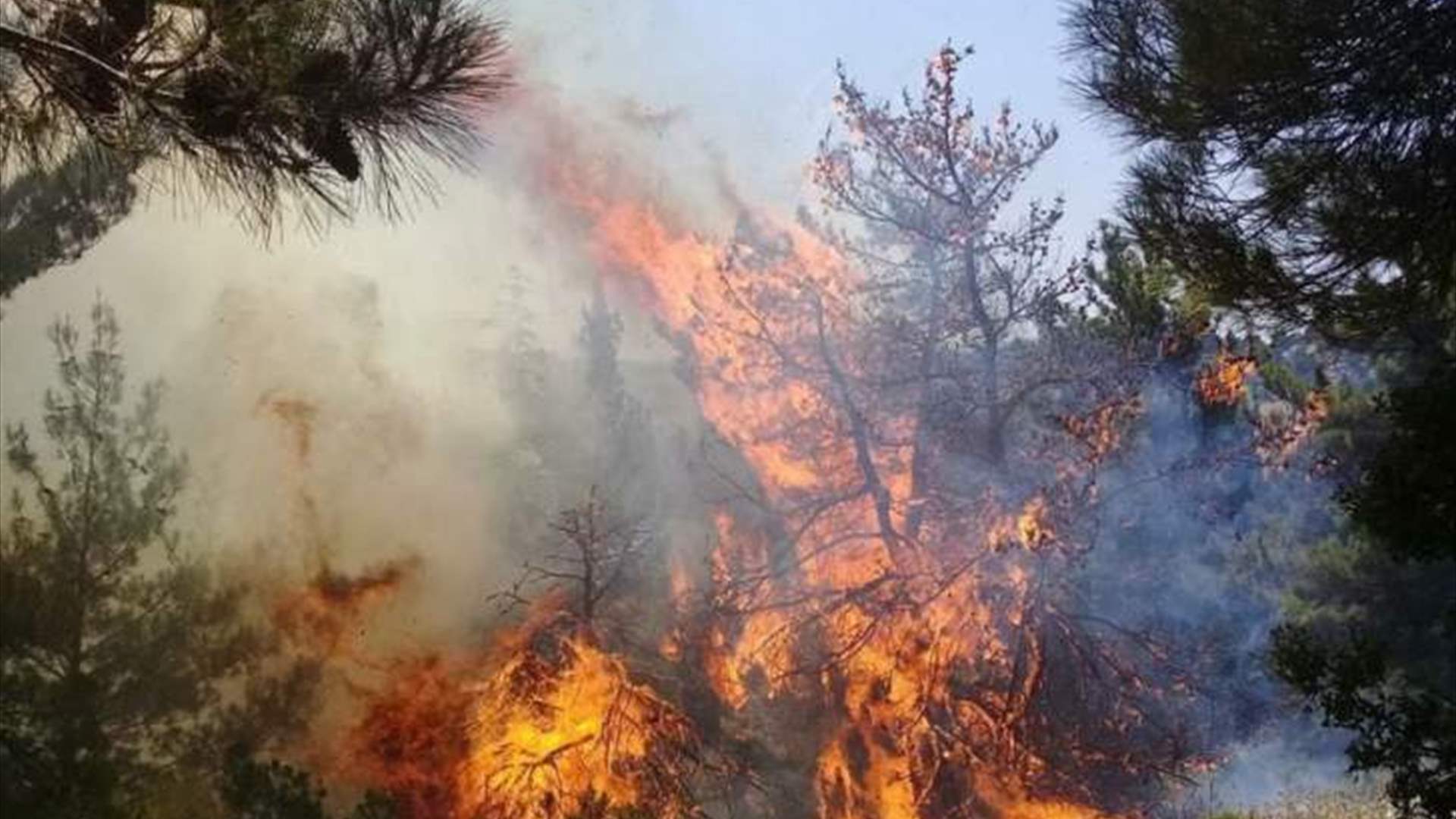 حريق كبير في احراج بلدة إده والدفاع المدني يعمل على اخماده