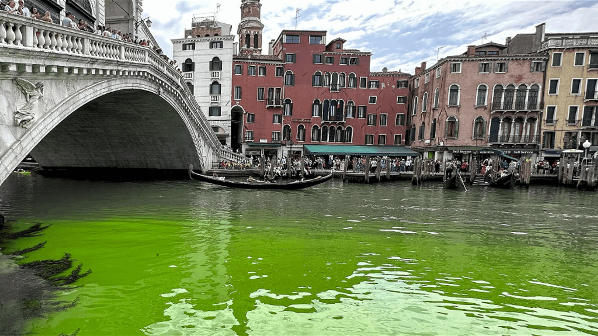 مياه القنال الكبير في البندقية تتحوّل إلى الأخضر