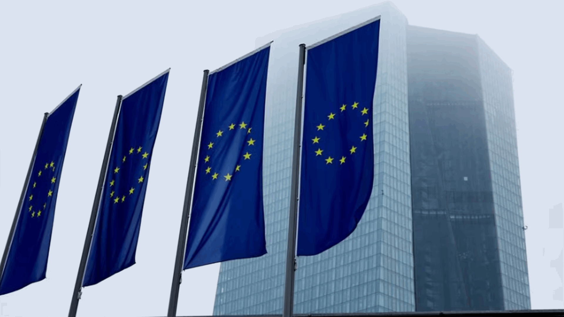 ECB warns of hit to top European banks if funds run into trouble
