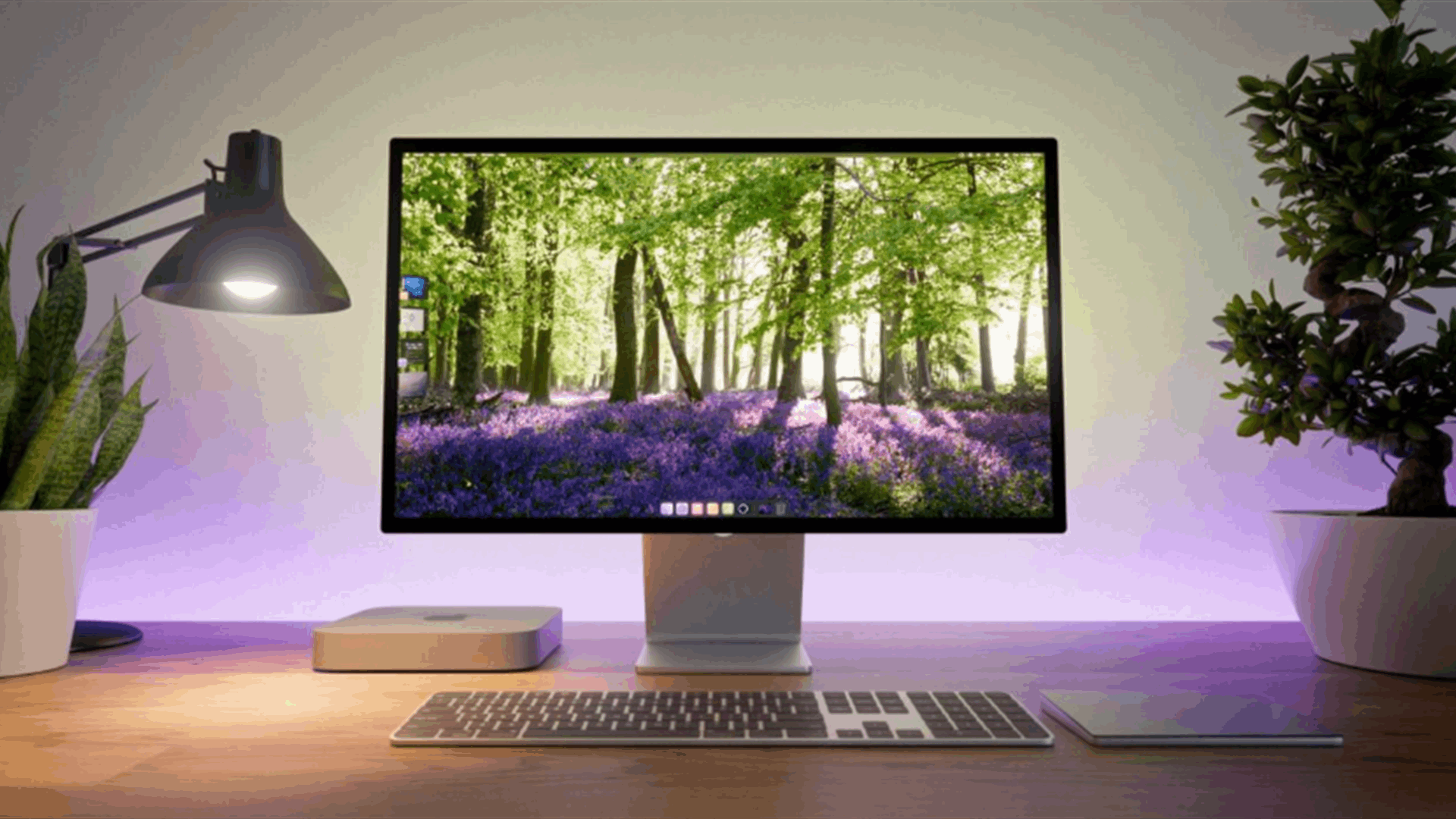 Portal’s Mac app helps users focus with immersive backgrounds and audio