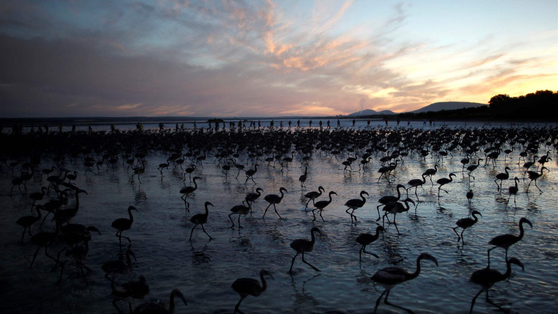 EU nature law hangs in the balance after lawmaker walk-out