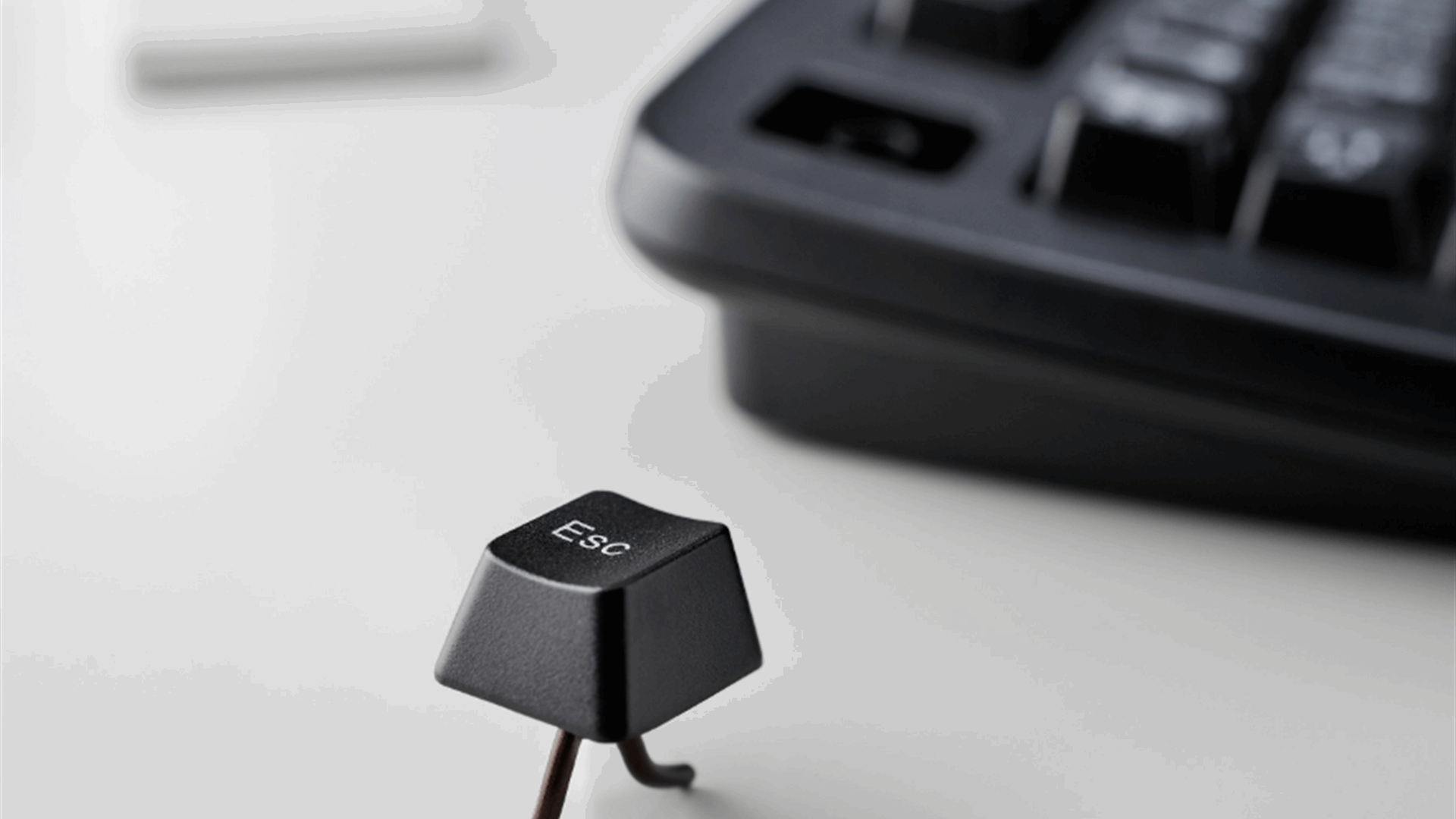 Escape dynamically scans APIs to find security flaws