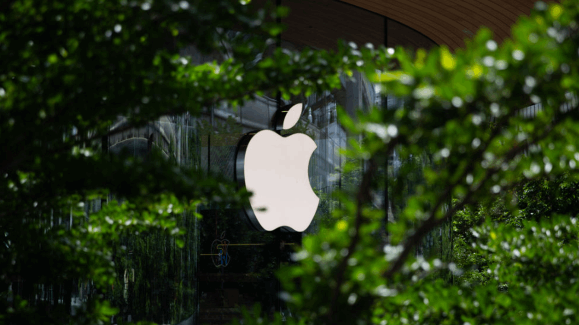 Apple is making developer betas free and accesible to everyone