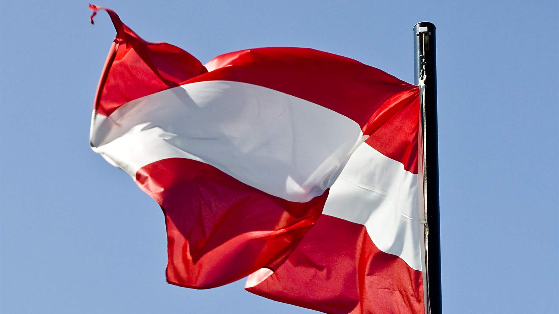 Austrian police find three dead with gunshot wounds