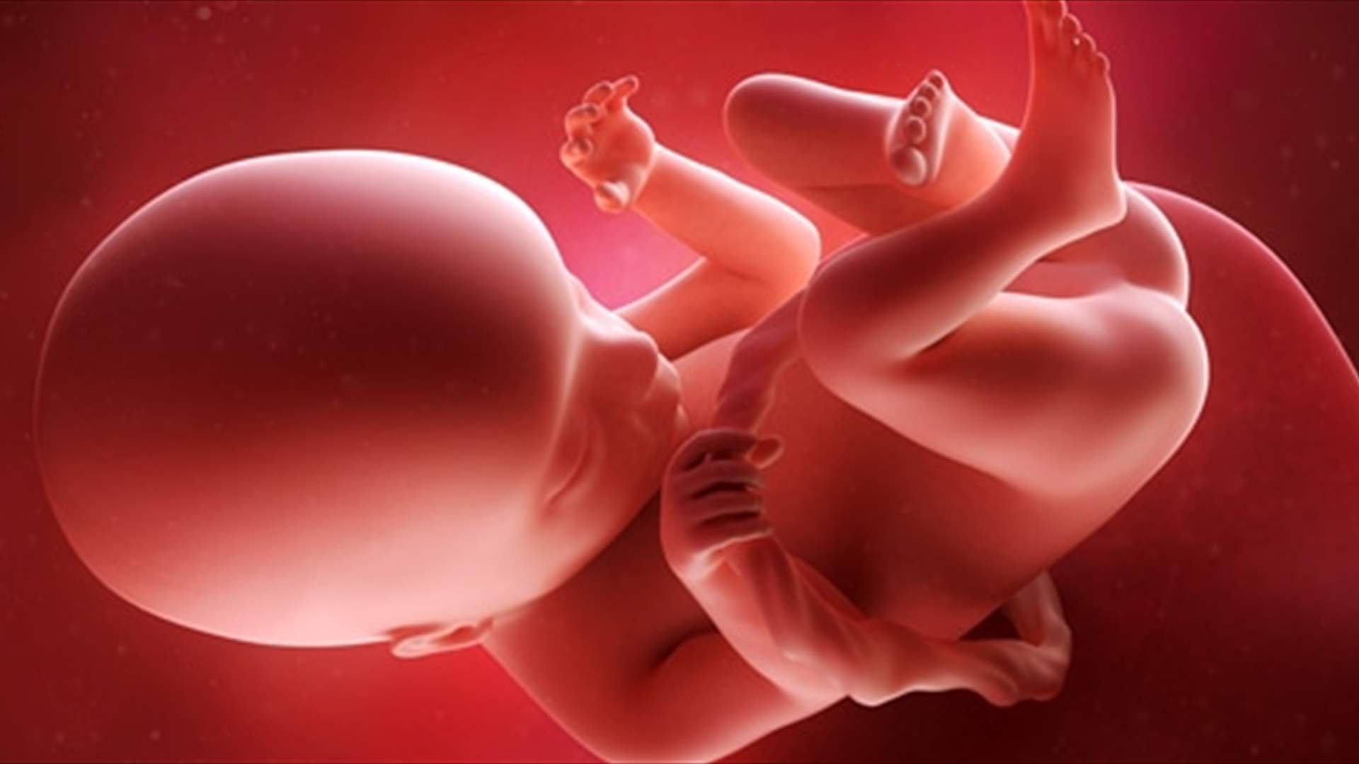 صدمة علمية جديدة... إبتكار أجنّة بشرية من دون الحاجة إلى بويضات أو حيوانات منوية!