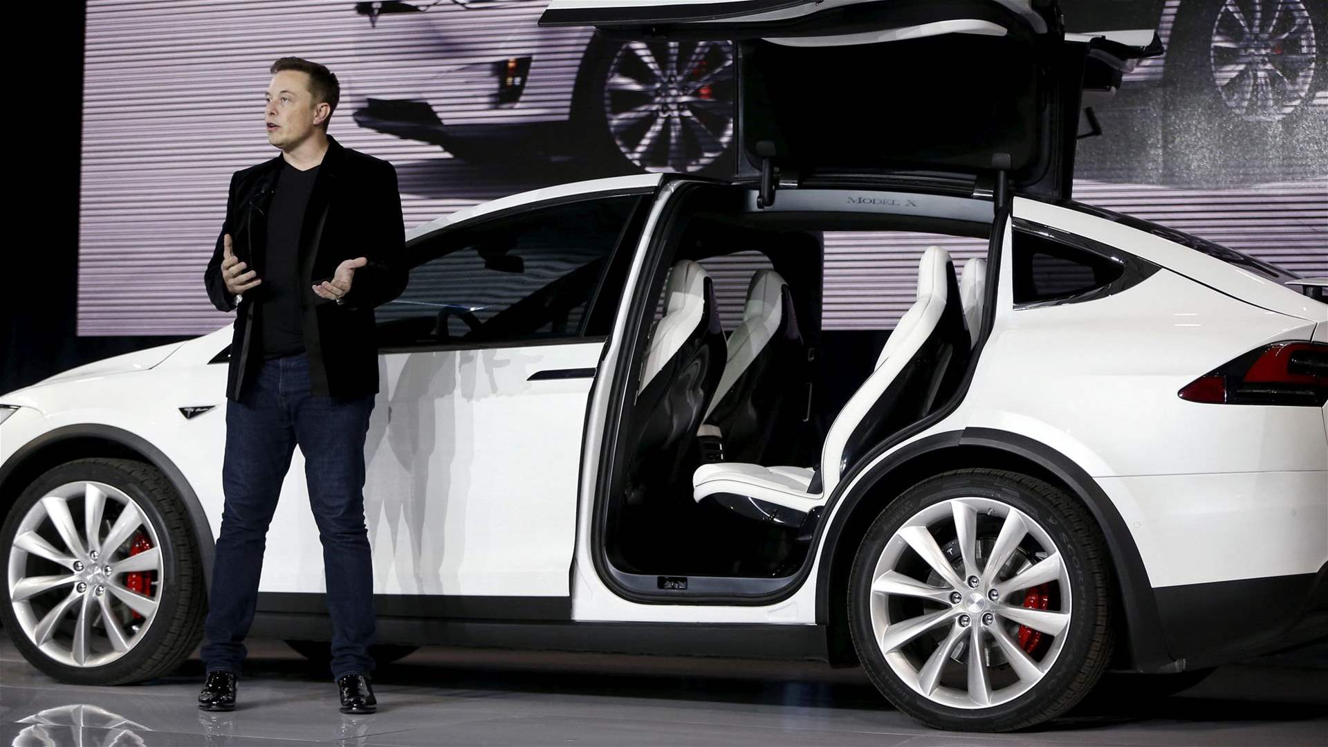European leaders host Musk, chase Tesla investment
