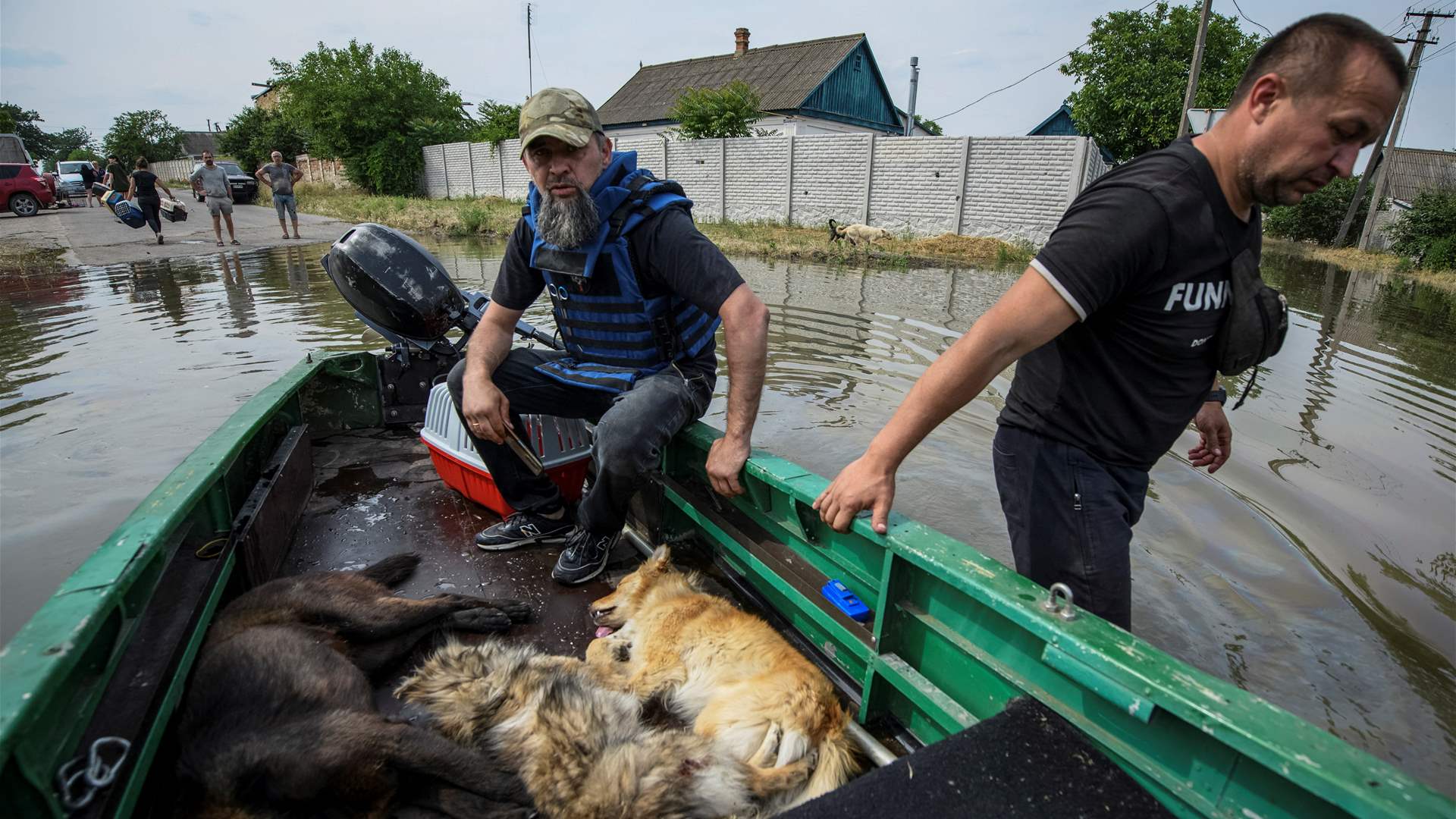 Cats and dogs saved from Ukraine floods find new homes