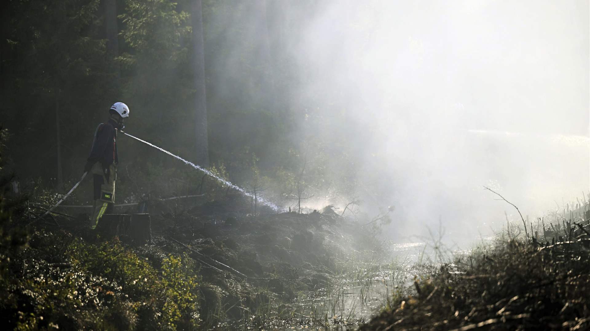 Forest fire risks mount in drought-hit Nordic nations