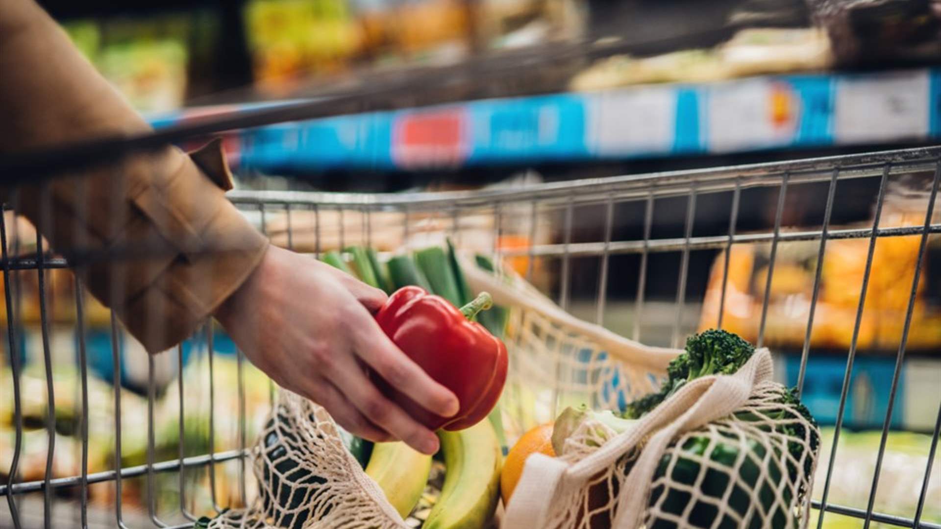 Lebanon's position in hunger and food price reports raises alarm for Food Importers Union
