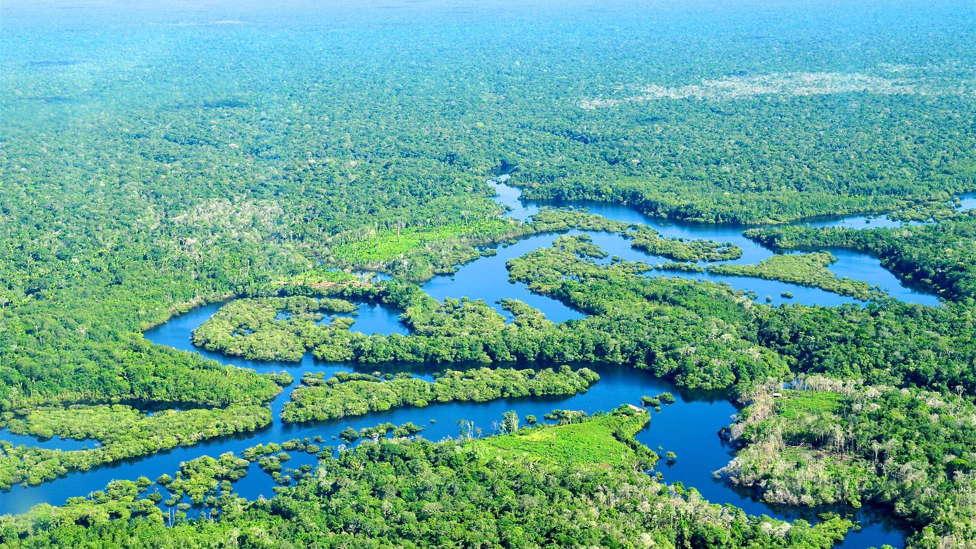 Green growth in Amazon would bring Brazil billions: study