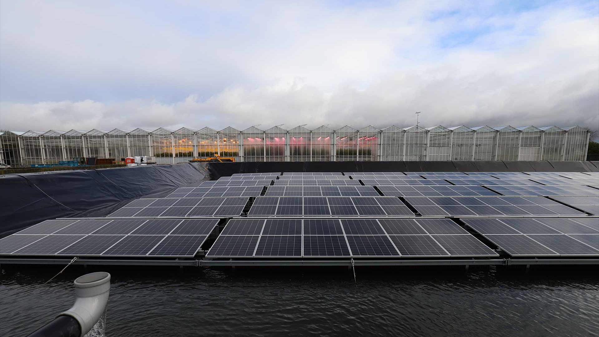 'Every drop counts': Spain's crops thrive on wastewater