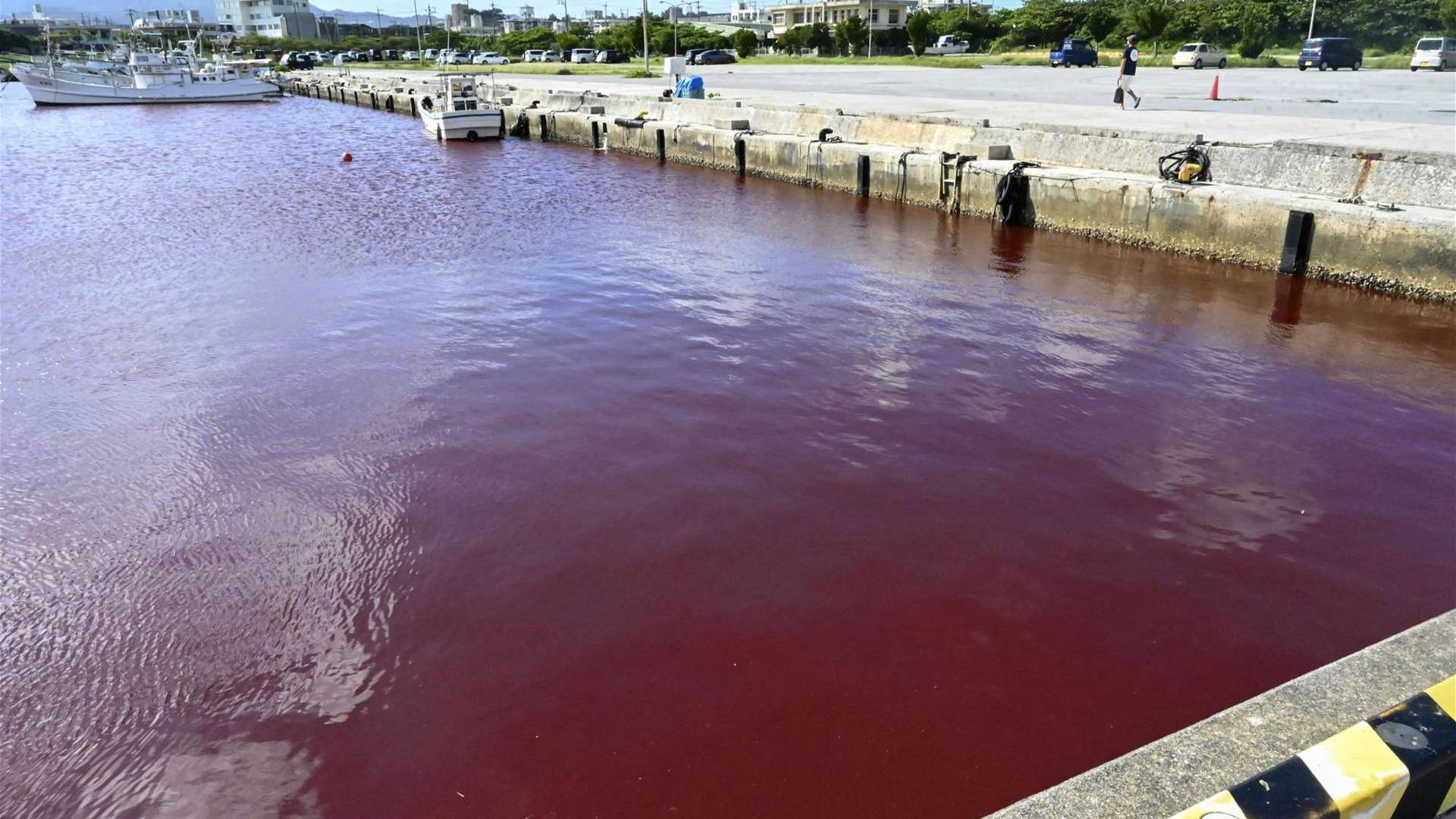 Beer factory leak turns Japanese port red