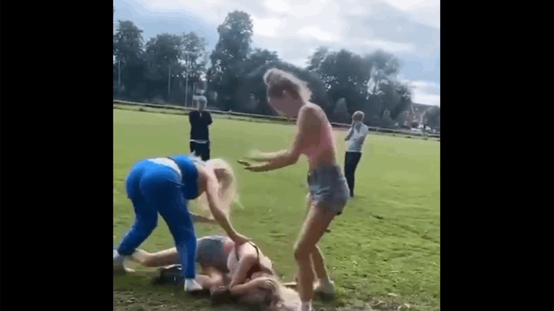 في مشهد مروّع... مراهقة تتعرّض للّكم والضرب على رأسها وجسمها في حديقة! (فيديو)