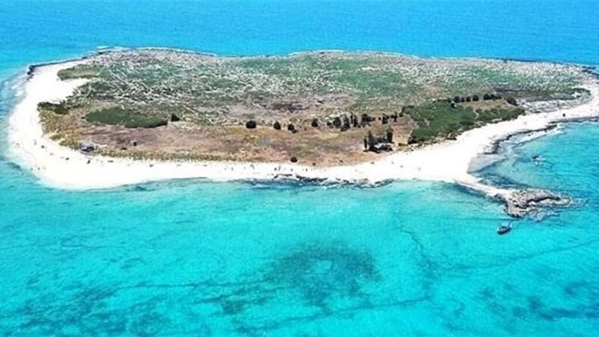 لجنة محمية جزر النخيل: اقفال المحمية حتى مطلع الاسبوع المقبل وذلك بسبب التحقيقات