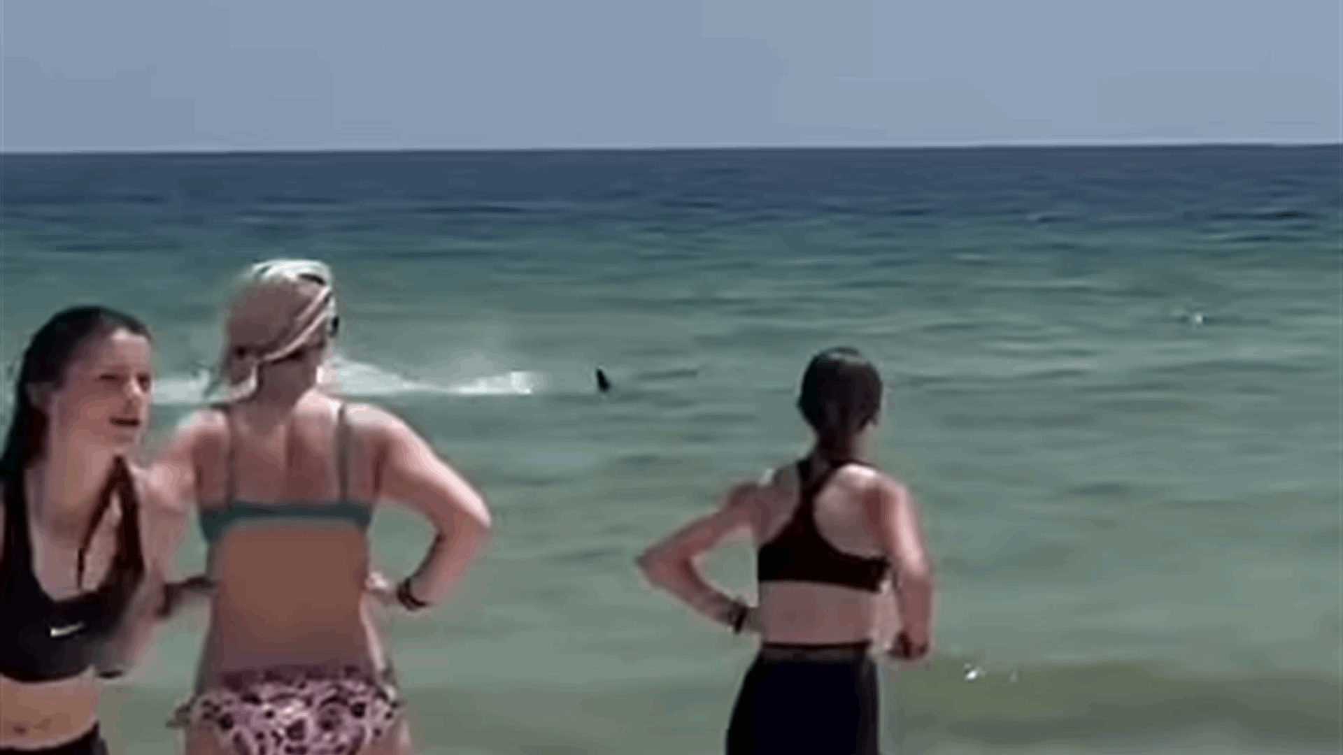 لحظات مرعبة... هجوم &quot;مجنون&quot; لسمكة قرش ضخمة قبالة سواحل فلوريدا! (فيديو)
