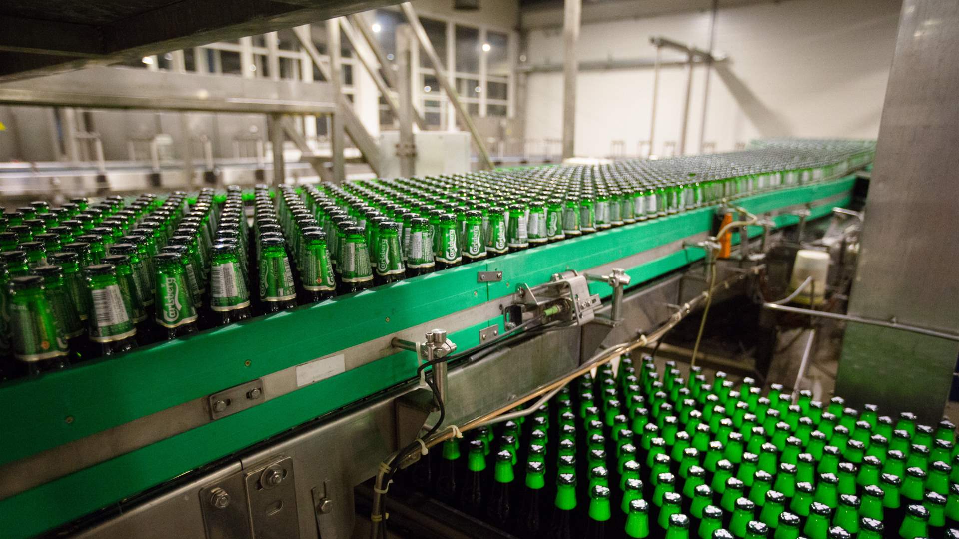 Russia lands shares for Danone and Carlsberg