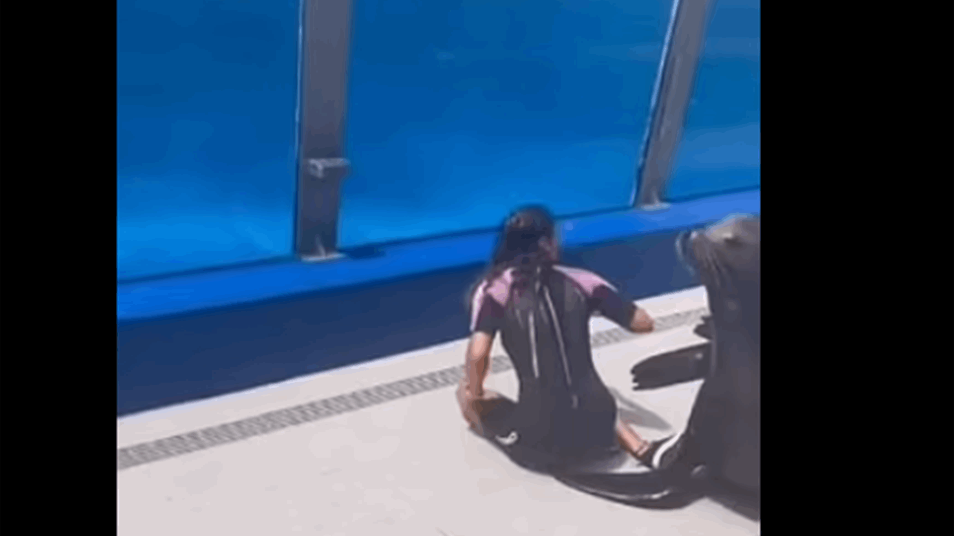 لحظات من القلق والرعب... أسد بحر ضخم يسقط على مدربته! ​(فيديو)