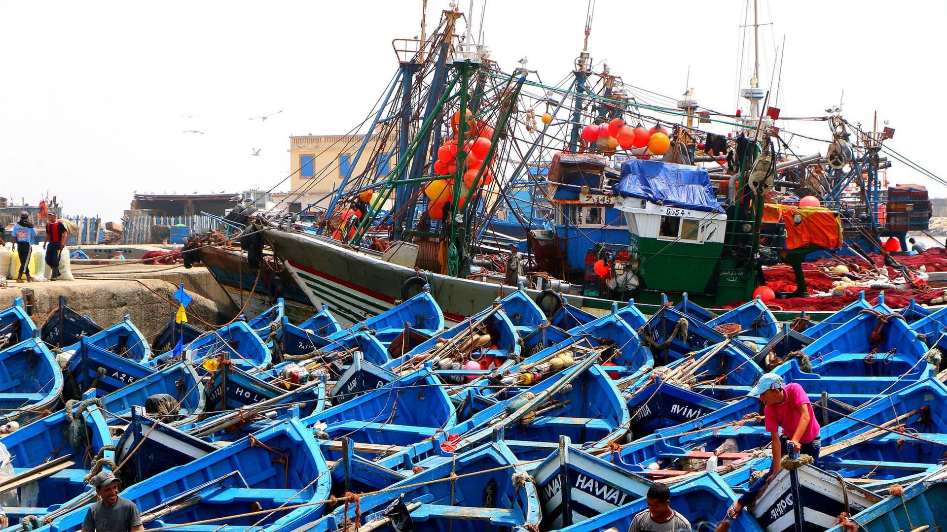 EU ready to conclude new fishing agreement with Morocco