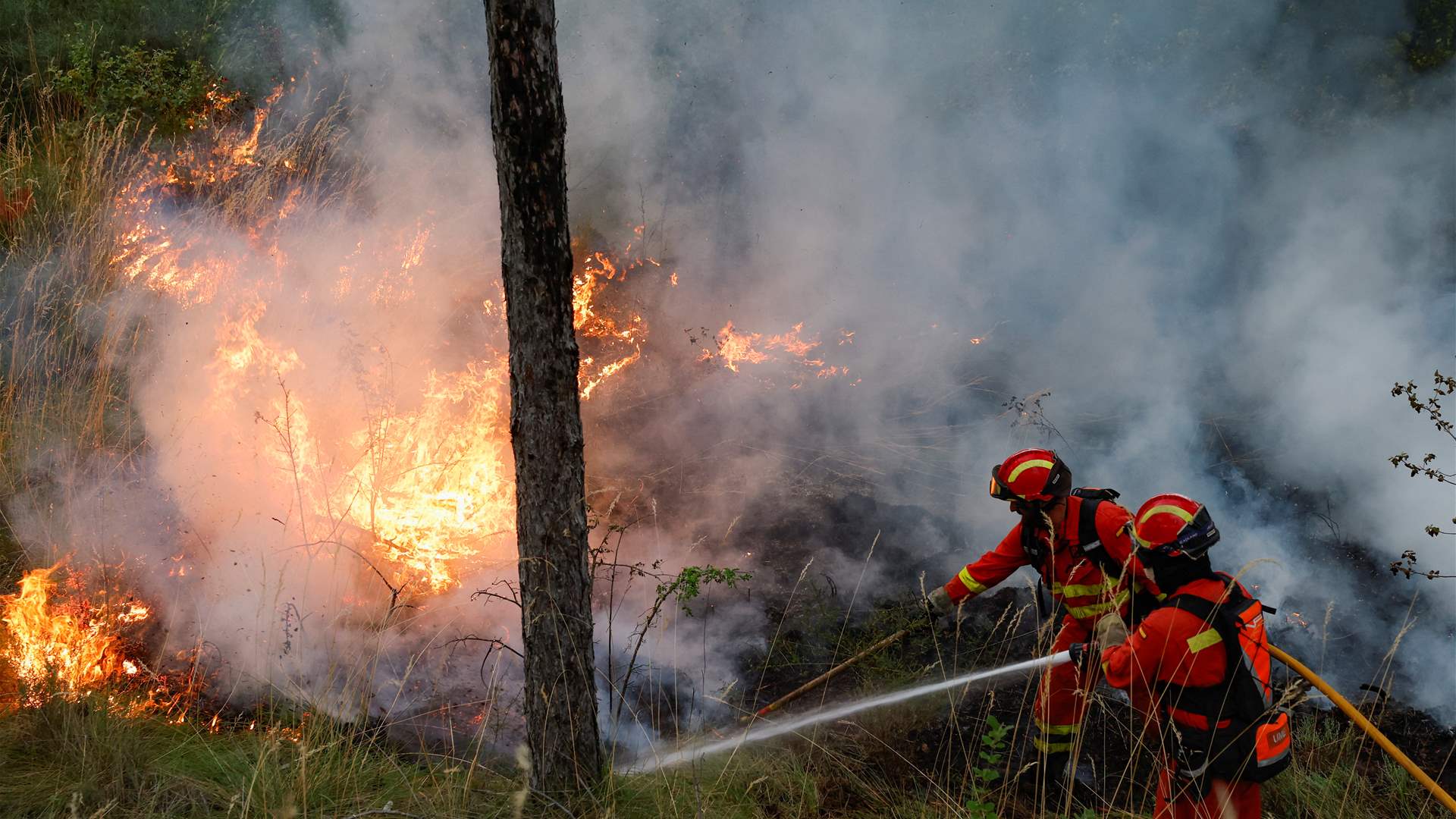 Tunisian firefighters continue to fight forest fire in border area with Algeria