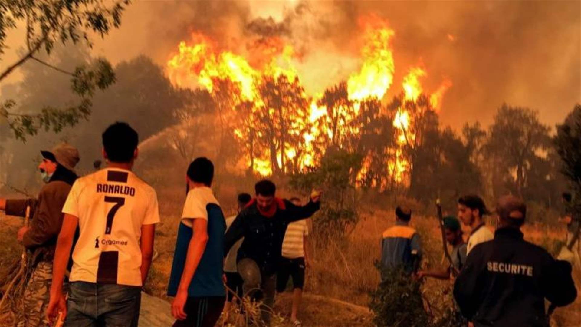 15 قتيلا و26 جريحا في حرائق غابات بشمال الجزائر 
