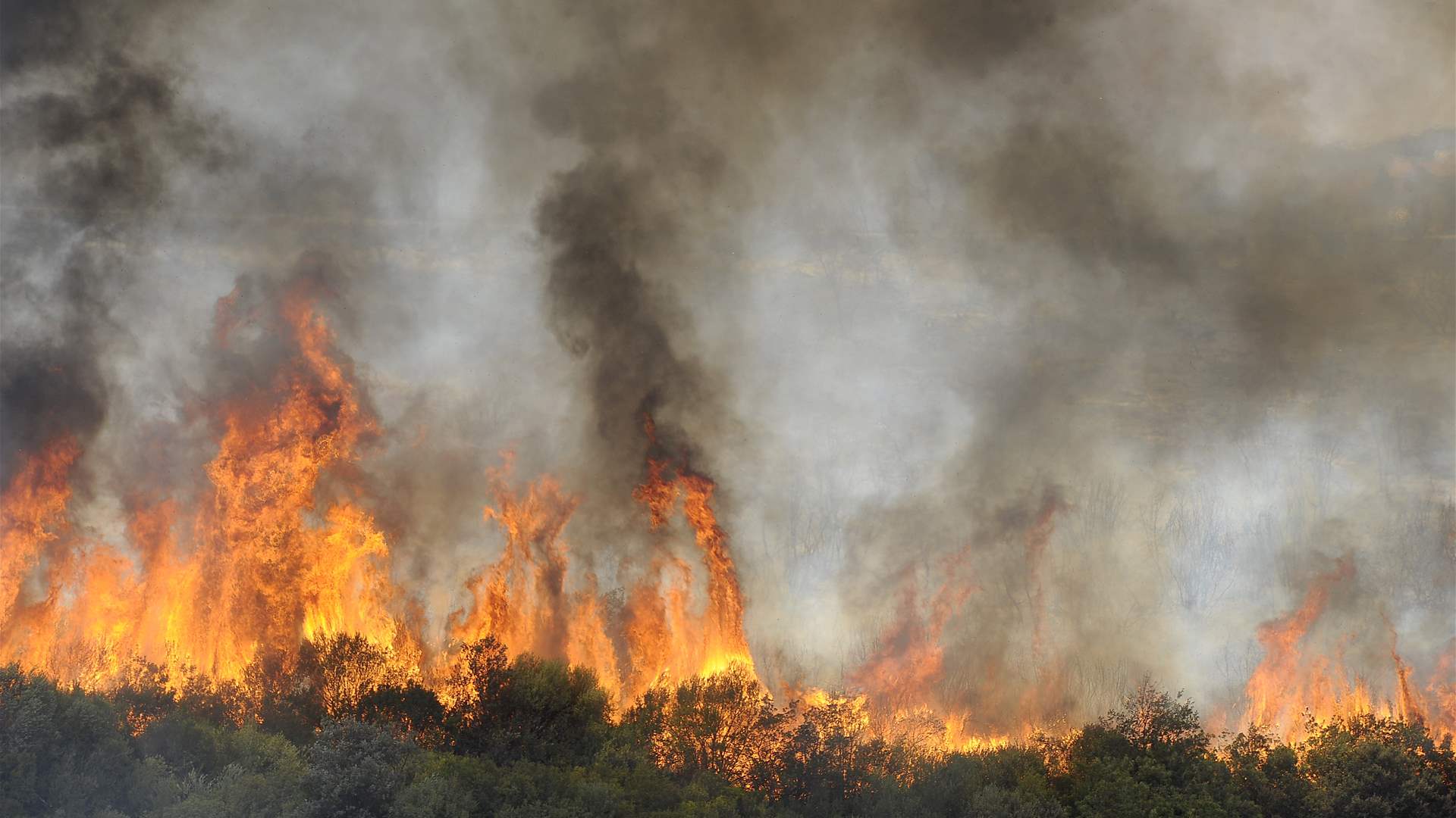 15 killed and 26 wounded in forest fires in northern Algeria