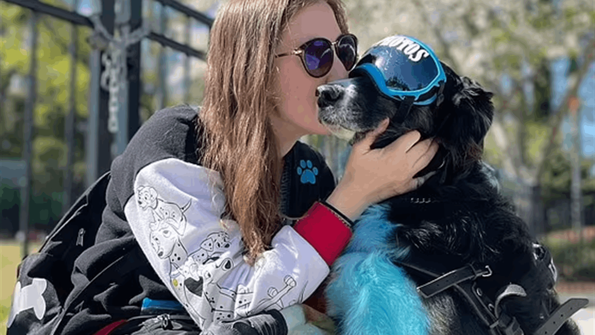 كلبتها أنقذت حياتها... أحضرت لها أدويتها والماء من الثلاجة بعد أن خلّصتها من سقطة! (فيديو)