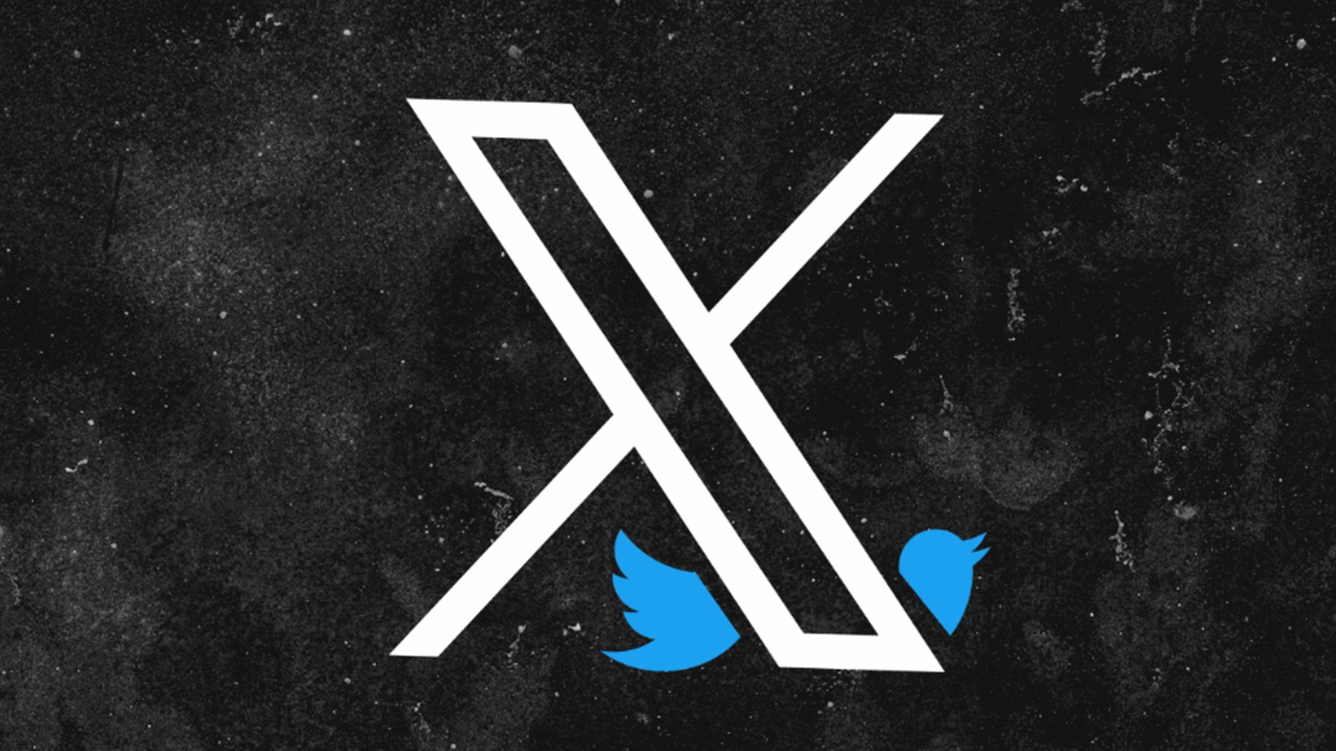 Twitter changes its official handle to @X