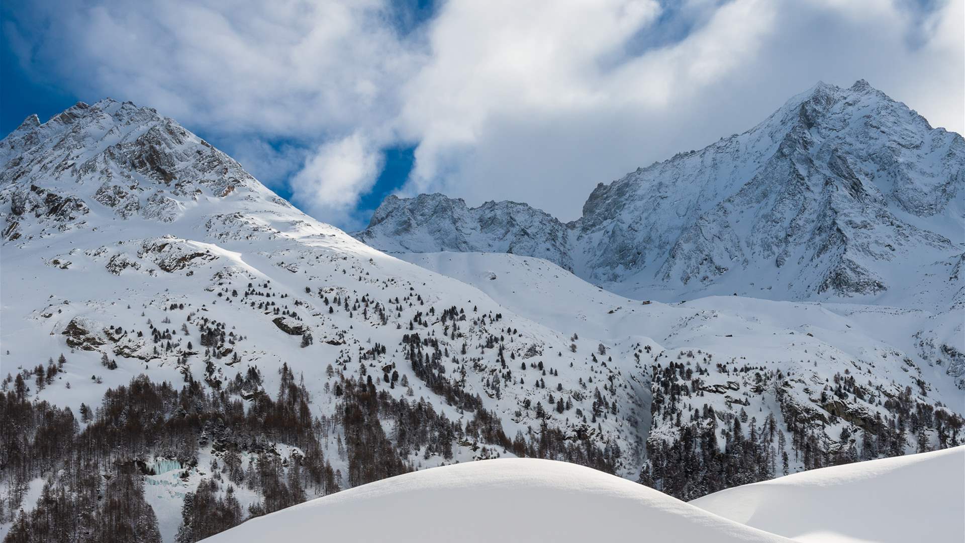 The remains of a climber who went missing in 1986 found in the Swiss Alps