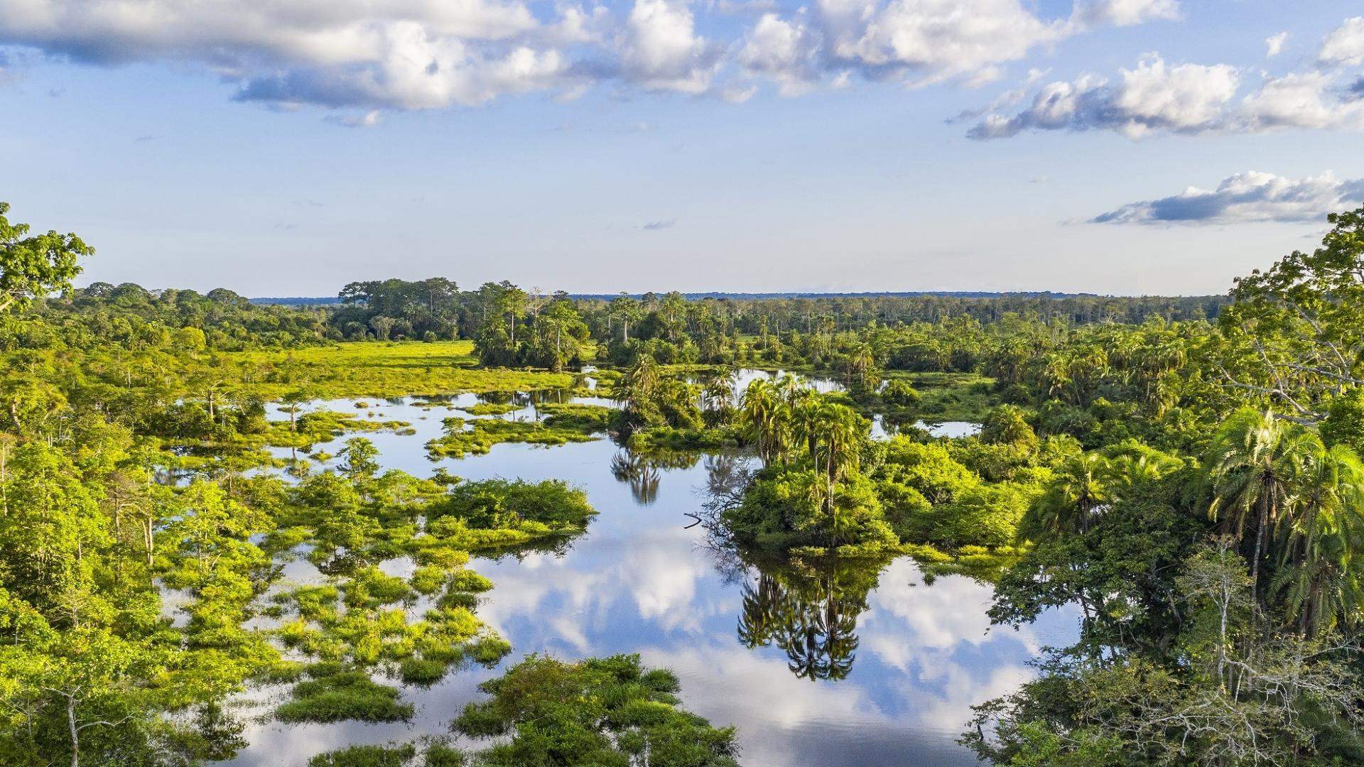 Macron launches Papua New Guinea forest protection partnership