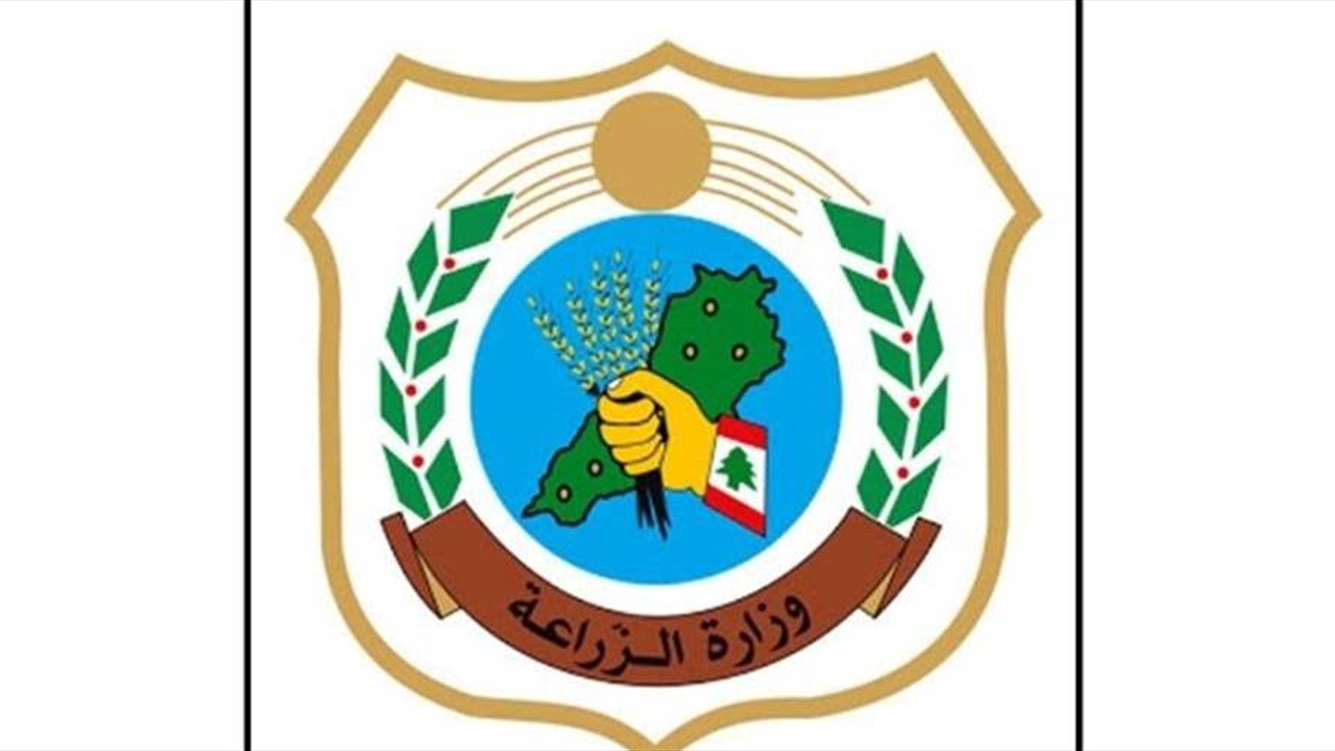 وزارة الزراعة: تمديد تقديم طلبات تسلّم محاصيل القمح الطري والصلب والشعير