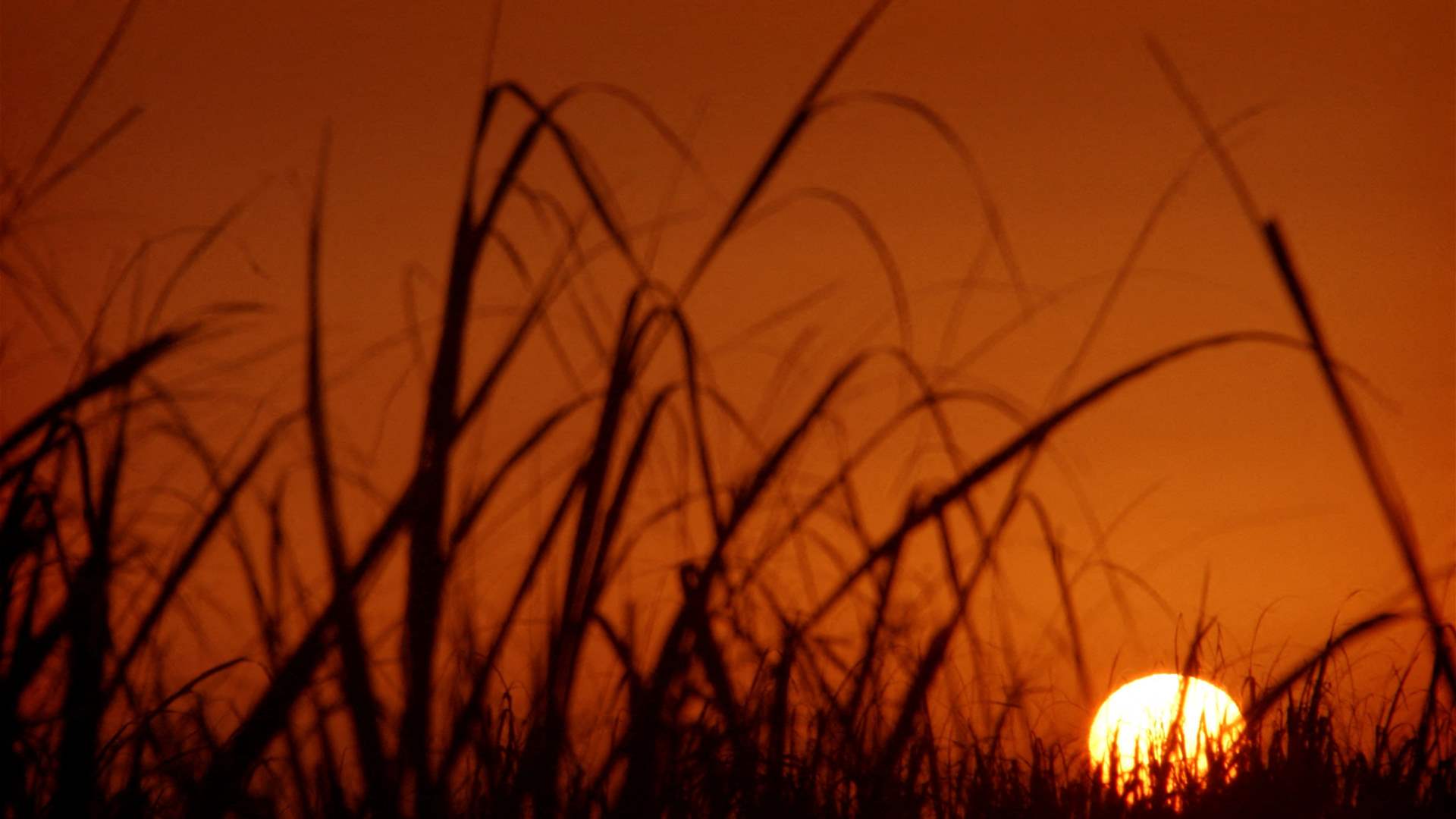 The Iranian government grants two days off in light of high temperatures