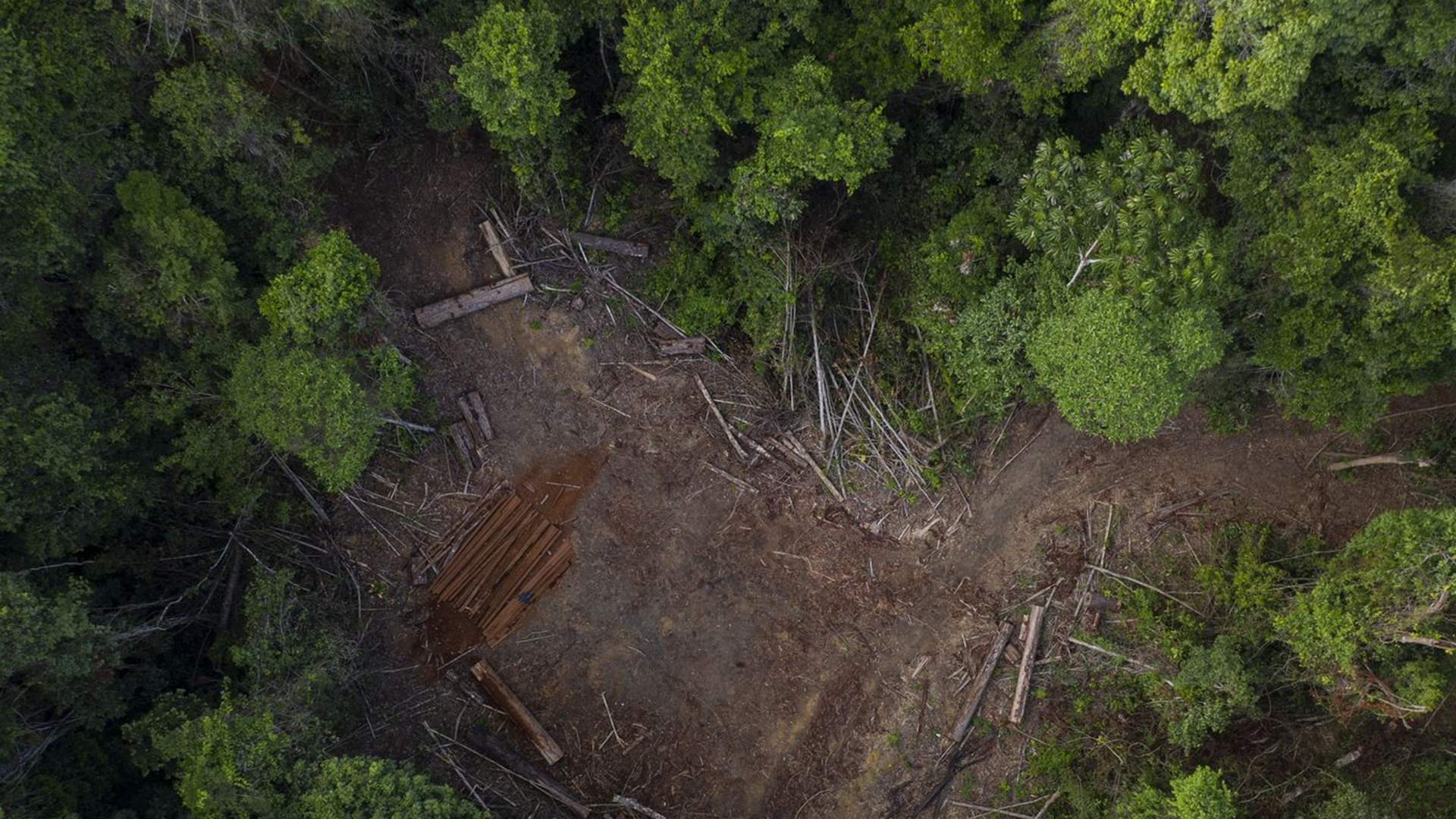 Lula: The international community must help Brazil protect the Amazon