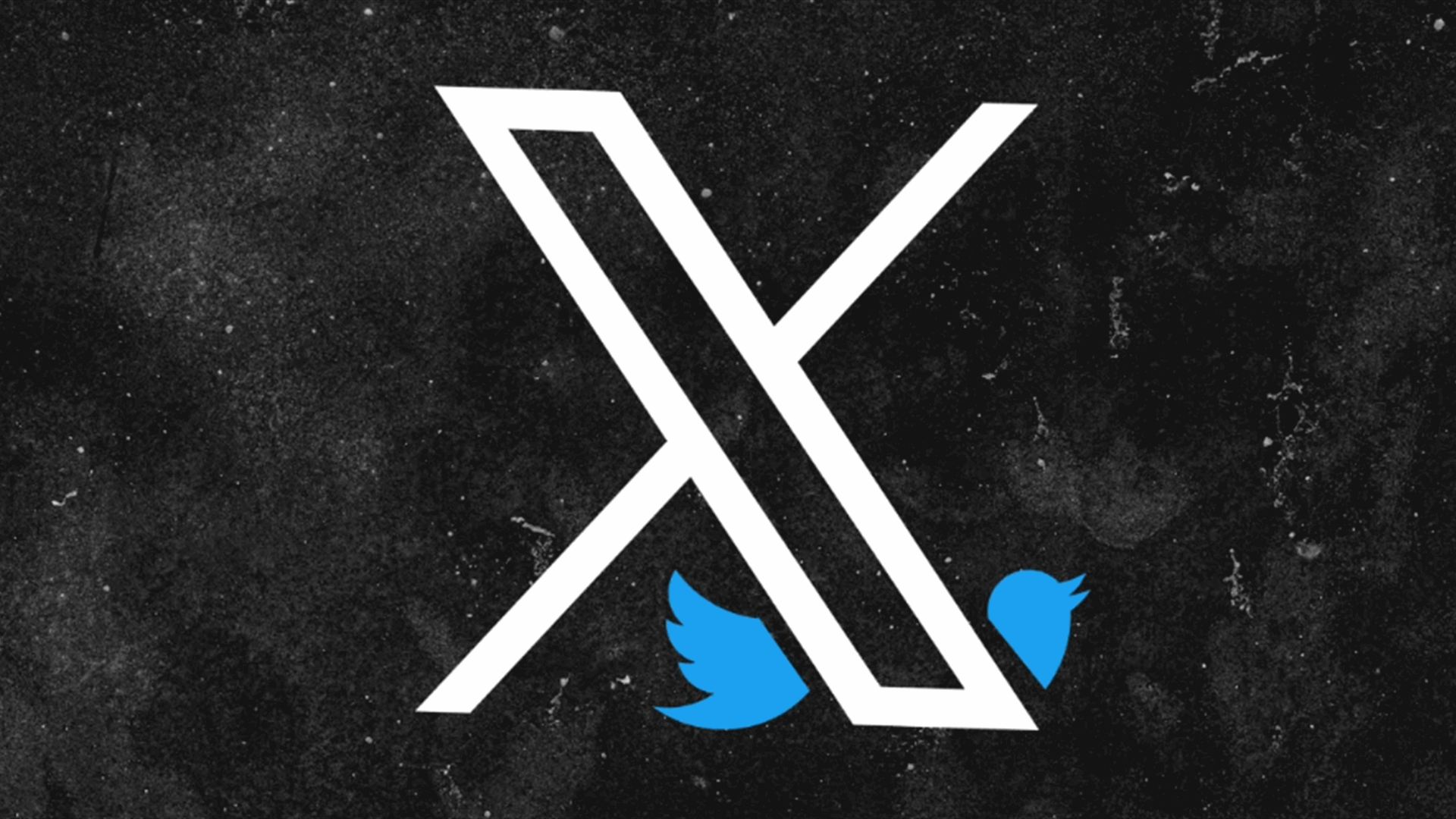 App Store users are downrating Twitter’s rebranding to X with 1-star reviews