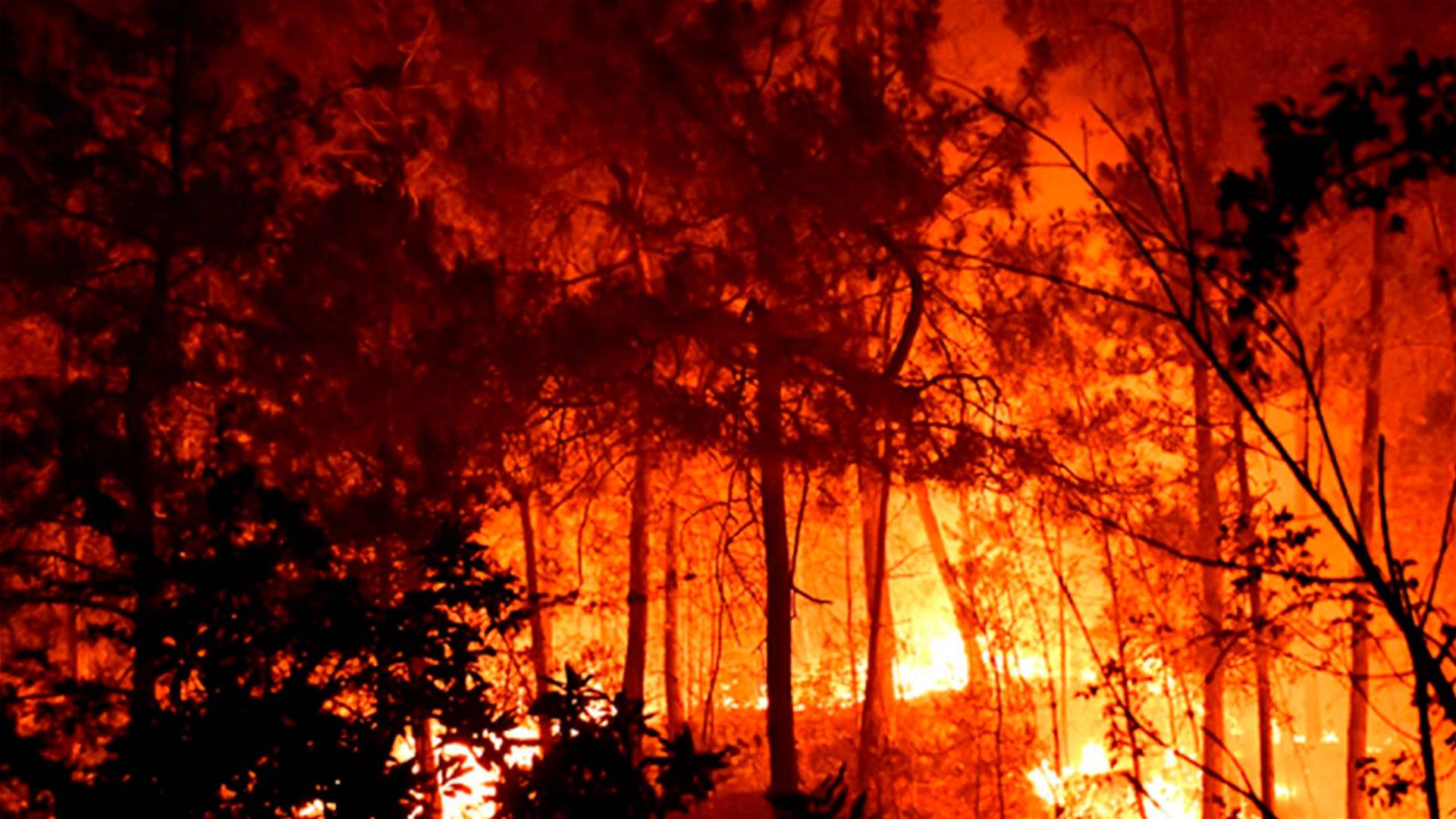 Portugal battles wildfires with high temperatures