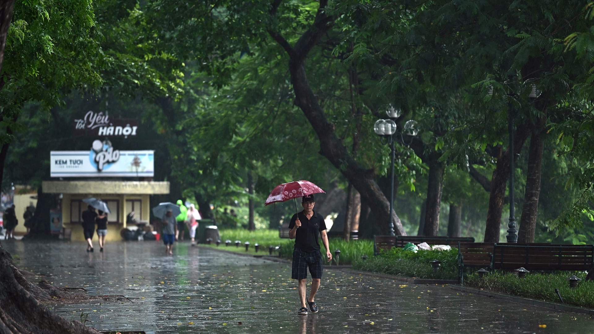 Eight dead in floods and landslides in Vietnam