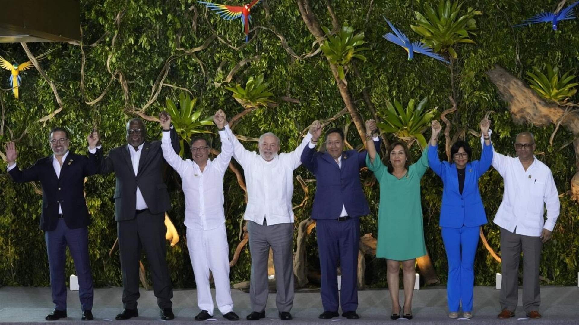 South American countries form alliance to combat deforestation in the Amazon