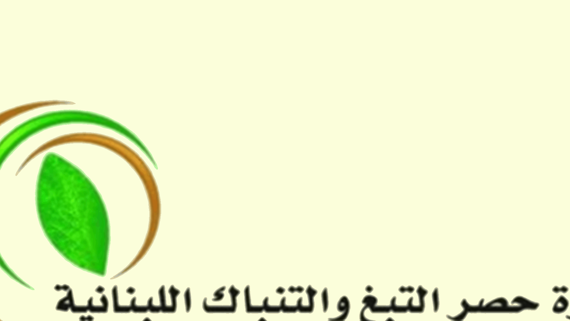 "الريجي" ضبطت منتجات مهرّبة ومزوّرة في منطقة النبطية (صورة)