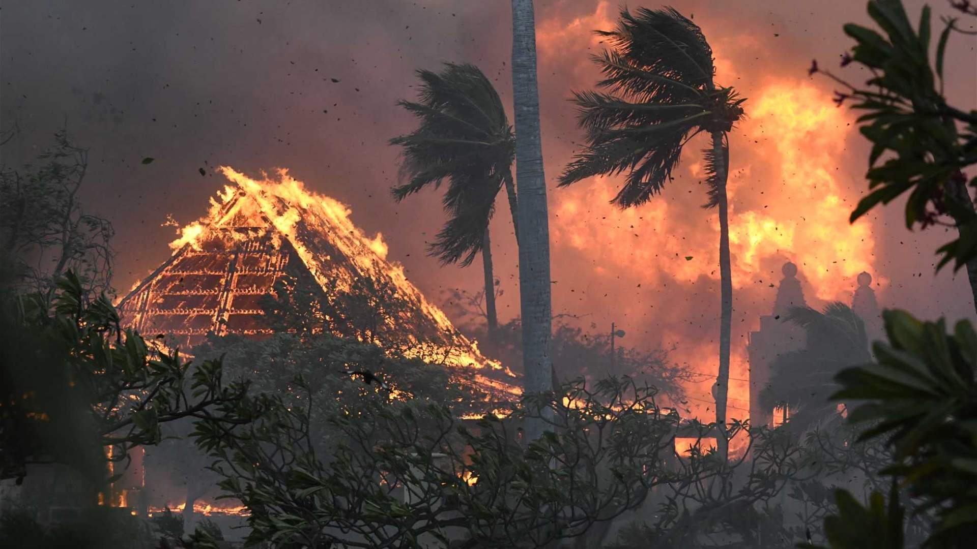 Hawaii fires death toll rises to at least 36 
