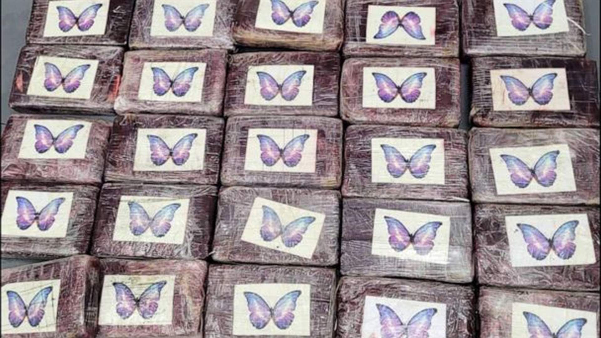 مختومة بفراشة أرجوانية... رئيسة بلدية في هذا البلد تعثر على 32 كيلوغراما من الكوكايين بهذه الطريقة!