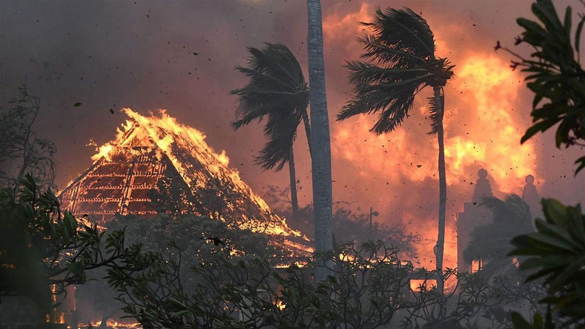 67 قتيلا على الأقل ضحايا اسوأ حريق غابات يضرب هاواي