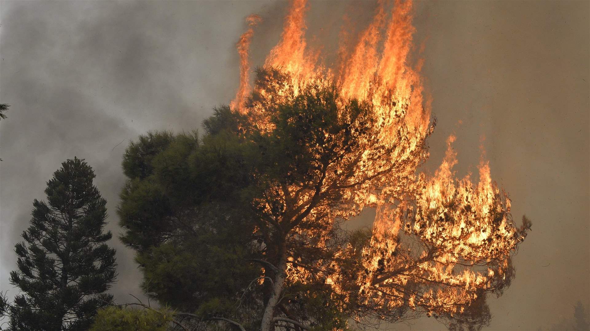 Heatwaves and wildfires: Lebanon braces for high fire risk amid soaring temperatures
