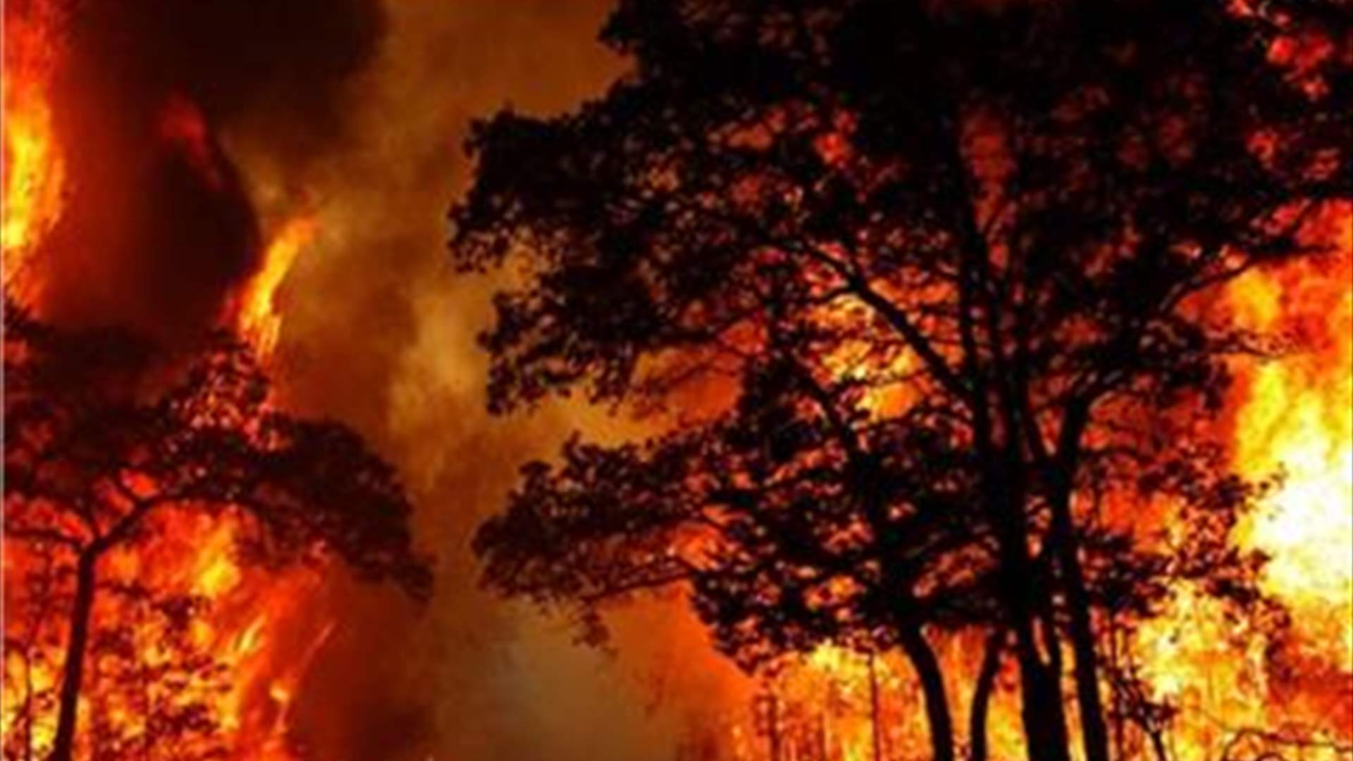 حرائق الغابات تجبر نحو 30 ألف شخص على إخلاء منازلهم في مقاطعة بريتيش كولومبيا غرب كندا