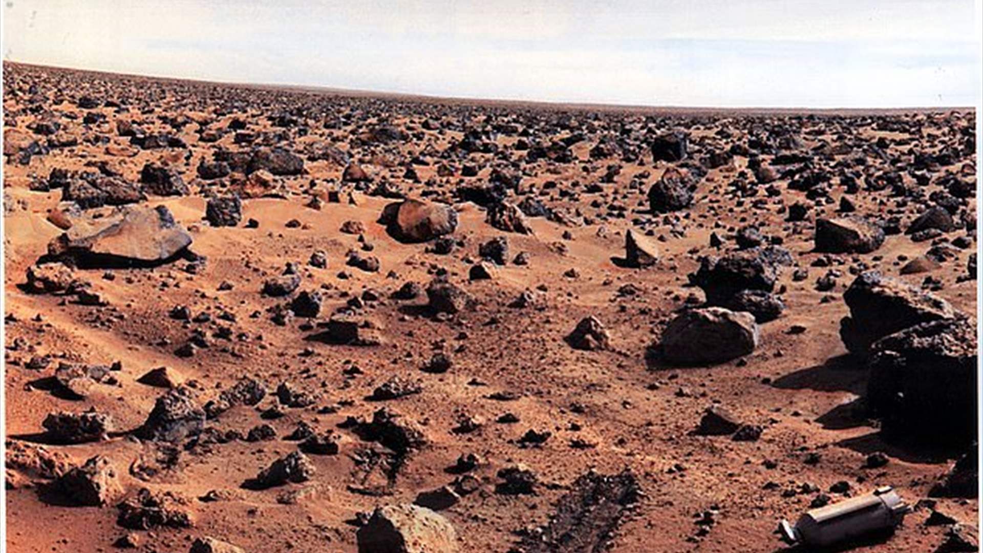 العثور على حياة غريبة على كوكب المريخ...لكن &quot;ناسا&quot; قتلتها عن طريق الخطأ!