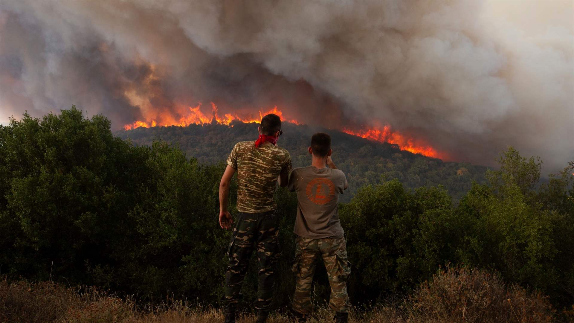 Greek PM anticipates forest fires to engulf over 150,000 hectares this summer 